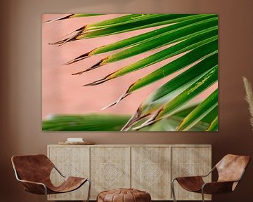 Green palm leaf on pink background by Simone Neeling