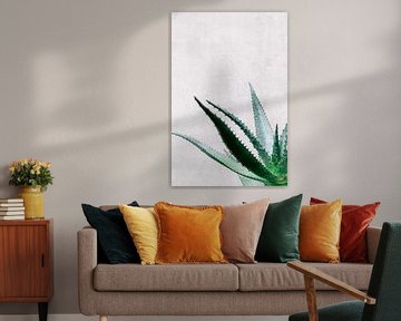 Aloe Vera succulent bij grijze muur van Simone Neeling