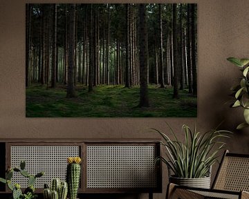 Herbstlicht im Wald von Bo Scheeringa Photography