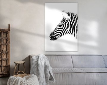 Zebra in zwart-wit van BBas Fotografie