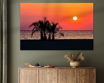 Palmen am Meeresstrand im Sonnenuntergang