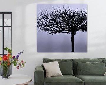 Natural beauty - gray tone