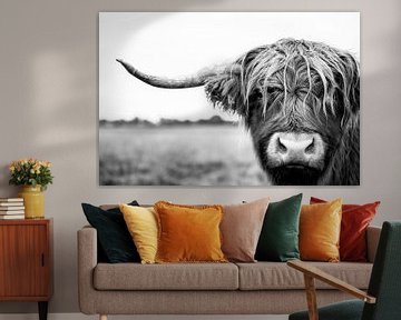 Portret van Schotse hooglander koe stier in zwart wit van KB Design & Photography (Karen Brouwer)