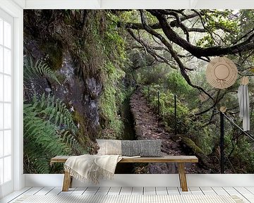 Madeira - Levada von Tobias Majewski