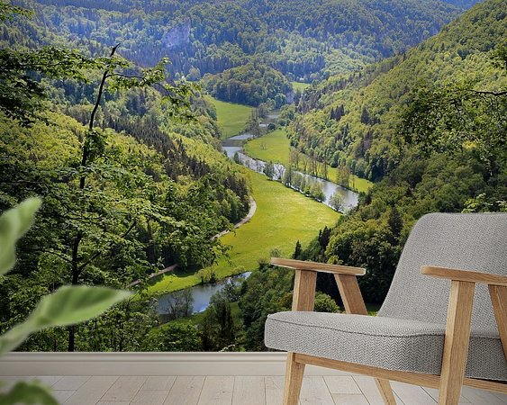 Aperçu de la chambre