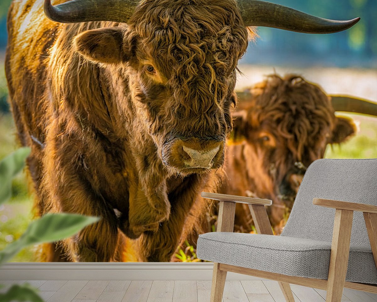 Raumvorschau