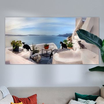 Die Katzen von Santorin in Griechenland von Voss Fine Art Fotografie