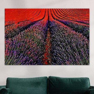 Provence Lavender by Peter Roder