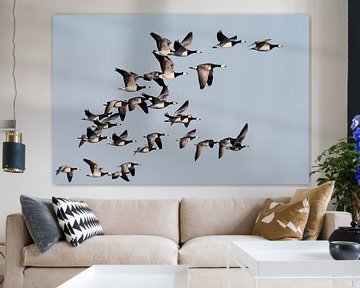 Barnacle Geese on migration by Beschermingswerk voor aan uw muur
