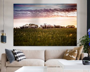 Sheep in the meadow at sunset by Lindy Schenk-Smit