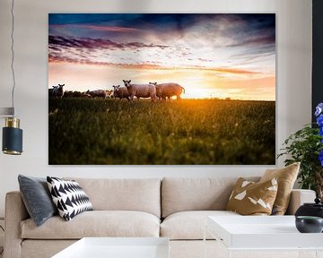 Moutons dans la prairie au coucher du soleil sur Lindy Schenk-Smit