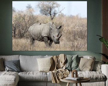 White Rhino by Angelika Stern