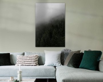 Skandinavisches Foto auf einem Berg mit Kiefern, Nebel und Wolken