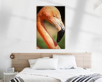 Flamingo van Suzanne Schoepe