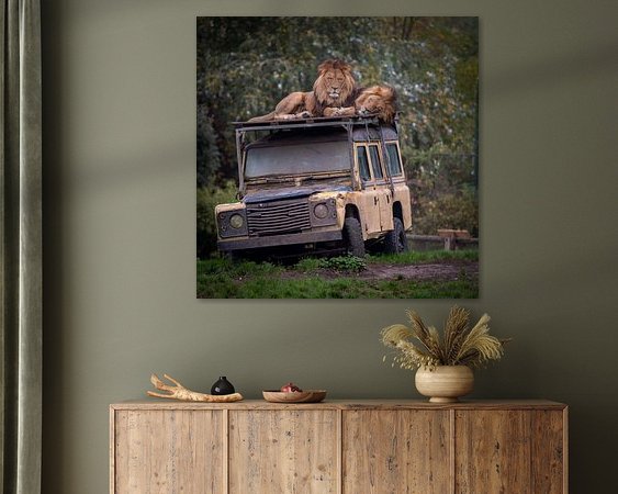 Aperçu de la chambre