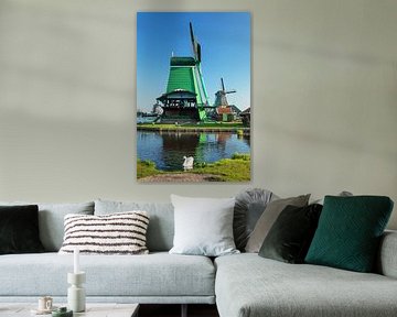 Windmolen in het voorjaar, Noord-Holland, Nederland van Markus Lange