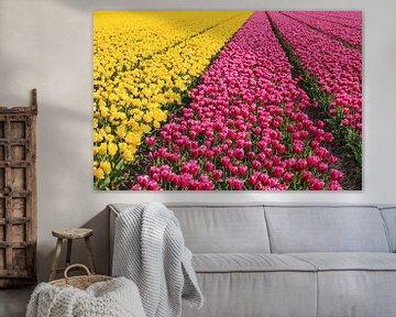 Bloeiende tulpenvelden in het voorjaar, Nederland van Markus Lange