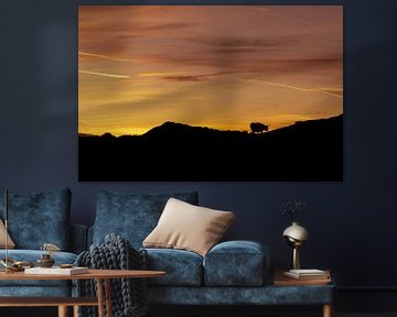 Silhouet Schotse Hooglander op Texel van Oog in Oog Fotografie
