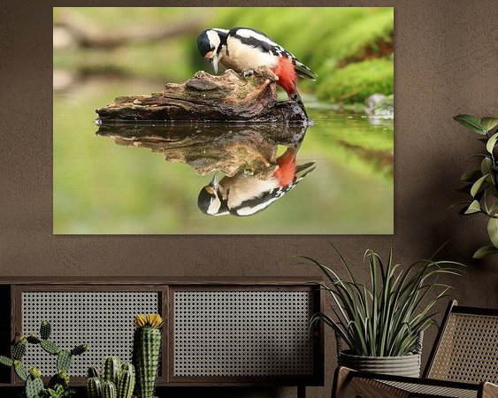 Aperçu de la chambre