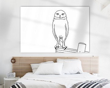 Owl