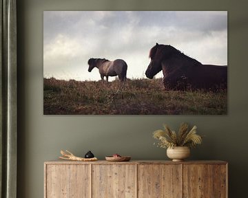 Chevaux dans le Veluwe I sur Luis Boullosa