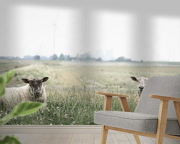 Sheep in Bierum II by Luis Boullosa