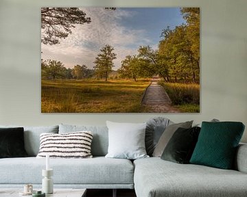 Brunssummerheide en automne, à l'heure dorée du lever du soleil sur John van de Gazelle fotografie