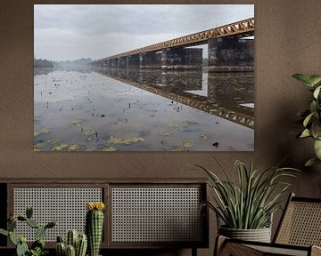 Moerputten railway bridge and swamp