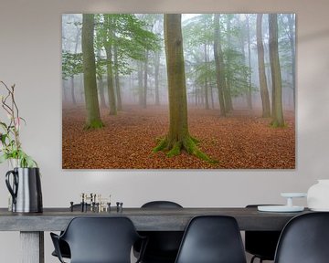 Foggy autumn Beech tree forest landscape by Sjoerd van der Wal