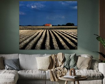 Fries landschap