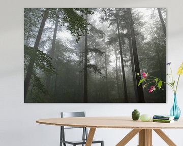 Upwards view in a Beech and Pine tree forest during a dark foggy autumn morning by Sjoerd van der Wal Photography