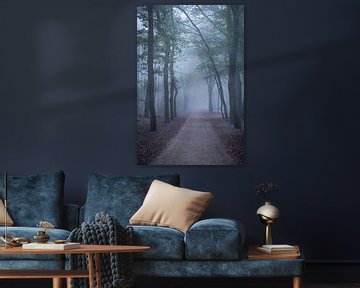 Sentier à travers une forêt de hêtres lors d'une matinée d'automne brumeuse sur Sjoerd van der Wal Photographie