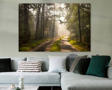 Sentier à travers une forêt de hêtres et de pins lors d'une matinée d'automne brumeuse avec des rayo sur Sjoerd van der Wal Photographie