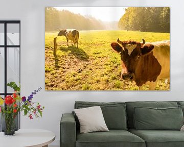 Hollandse lakenvelder koeien in de wei tijdens zonsopkomst in de herfst van Sjoerd van der Wal