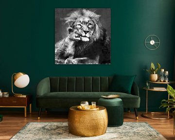 Oil painting portrait of a lion with cub by Bert Hooijer