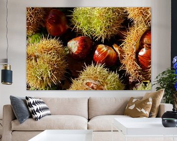 chestnuts by Marieke Funke