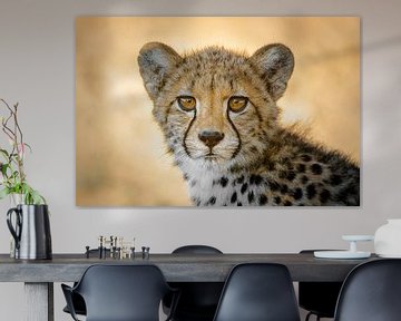 Portret jachtluipaard / cheetah van Vincent de Jong