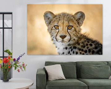 Portrait cheetah / cheetah by Vincent de Jong
