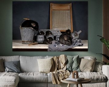 Familie van grijze en zwarte chinchillas met babies in een huislijke setting met ouderwetse keukensp van Leoniek van der Vliet