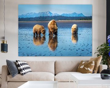 LP 71126295 Bären in Alaska in schöner Landschaft von BeeldigBeeld Food & Lifestyle