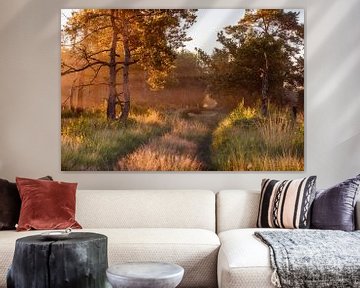 Border Park Kalmthoutse Heide by Bruno Hermans