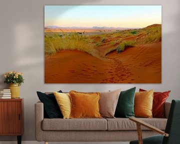 The sunset in the Sossusvlei by Daphne de Vries