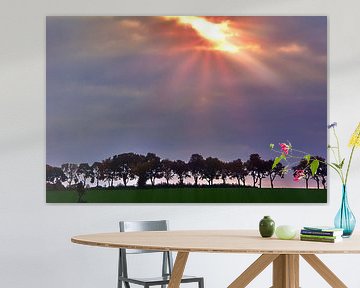 Sky Hole Lights