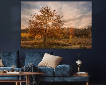 Zonsopkomst op de Brunssummerheide in de herfst van John van de Gazelle fotografie