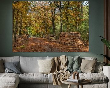 Herfst in de bossen van Rinus Lasschuyt Fotografie