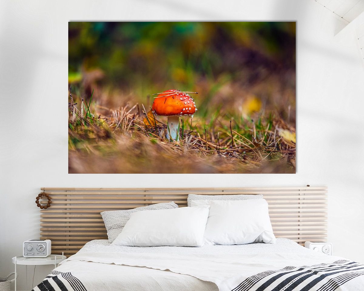 Raumvorschau