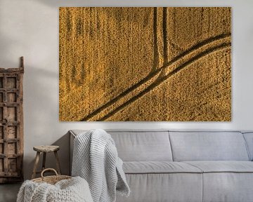 Aerial photo of grain field with tractor tracks by Marjolijn Maljaars