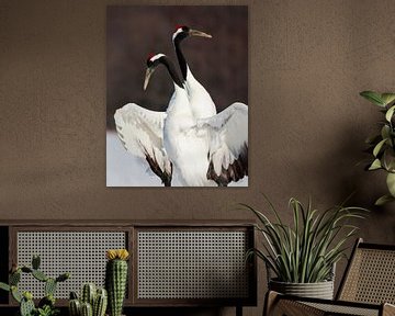 Chinese Kraanvogel (Grus japonensis) van Beschermingswerk voor aan uw muur
