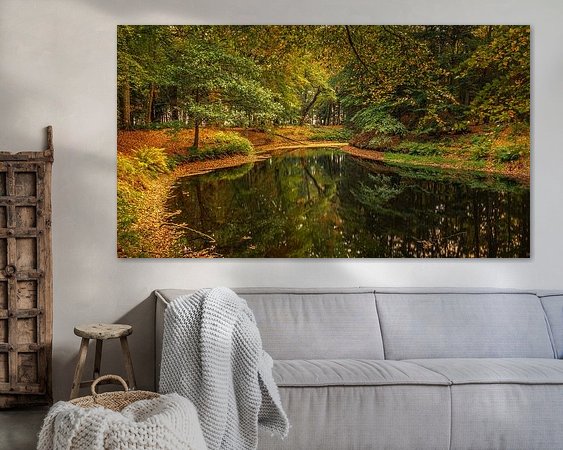 Aperçu de la chambre