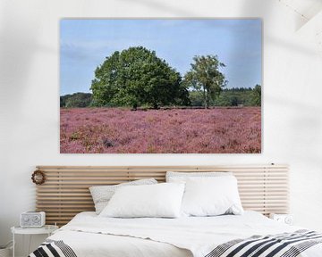Tafelbergheide in Blaricum staat in bloei met paarse heide van Robin Verhoef